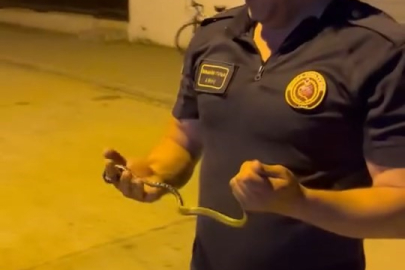 Motosikletin içine giren yılanı böyle yakaladı