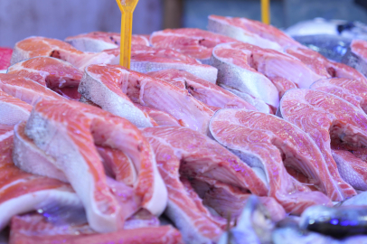 Somon en çok tercih edilen balık