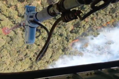 İzmir Foça'da orman yangını: Havadan ve karadan müdahale başladı