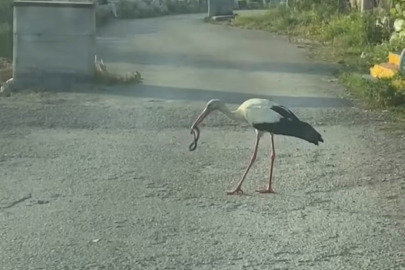 Vatandaş korkarken onlar ziyafet çekti