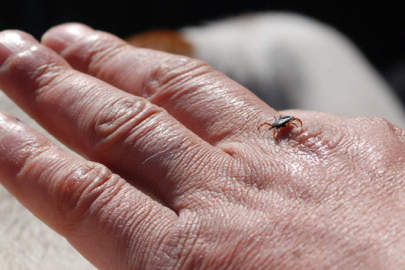 Bir kent diken üstünde! Üçüncü ölüm