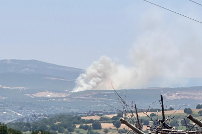 Bursa'da Kayapa bölgesinde orman yangını