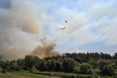 Kayapa bölgesinde orman yangınına müdahale sürüyor