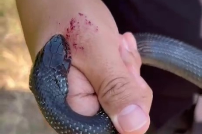 'Zararsız' dediği an saldırdı!