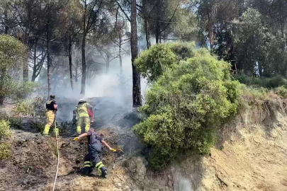 Gemlik'te çamlık alanda yangın paniği