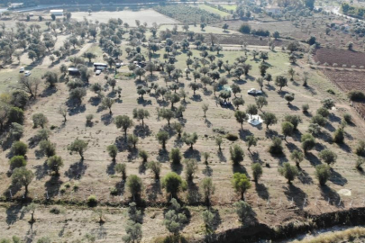 Zeytinlik teklifi komisyondan geçti