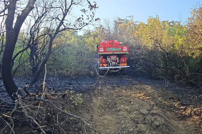 Bursa’da ormanlık alanda çıkan yangın kontrol altına alındı