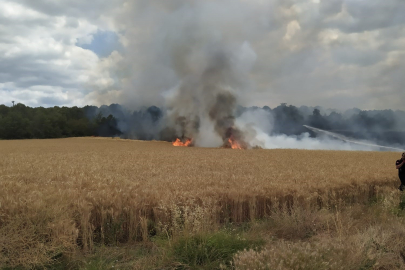 Yenişehir'de 30 dönümlük buğday tarlası küle döndü