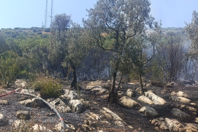 Orhangazi'deki yangına havadan ve karadan müdahale ediliyor