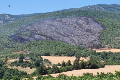 Yenişehir ilçesindeki yangın söndürüldü