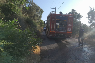 Bursa’da karga yangına neden oldu