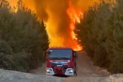 İzmir alev alev! Aliağa'daki orman yangını Foça’ya doğru genişledi çok sayıda ev tahliye edildi!