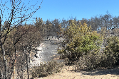 İzmir Aliağa yangını kontrol altına alındı