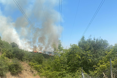 Orman yangınında elektrik hatlarının patlaması korku dolu anlar yaşattı