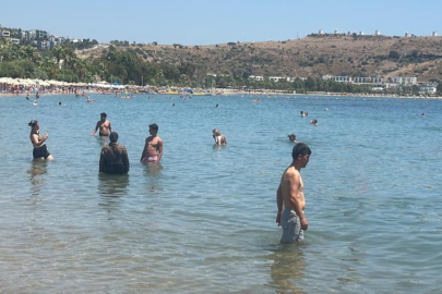 Bodrum kavruldu hava sıcaklığı 44 dereceye ulaştı