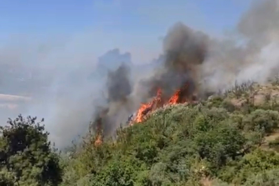 Bursa’da orman yangını köydeki evlere sıçradı...Büyük panik yaşanıyor