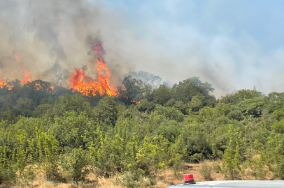 Bursa'da orman yangınlarının ardı arkası kesilmiyor!