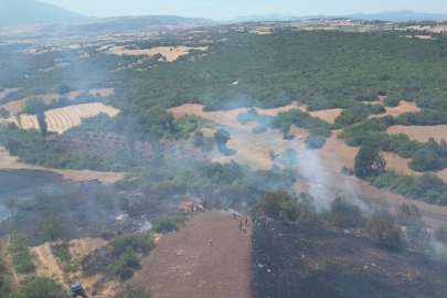 İnegöl'de orman yangını kontrol altına aldı, yangının çıkış nedeni ortaya çıktı