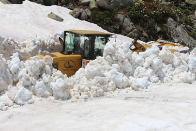 Türkiye yanarken Rize'de şaşırtan görüntü