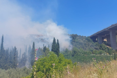 Yangın İsmetiye köyüne doğru ilerliyor