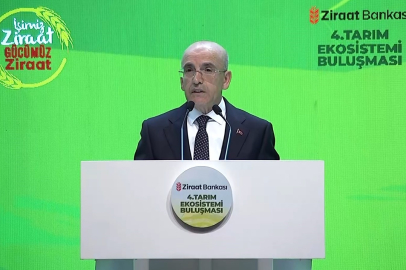 Bakan Şimşek: "Yıllık enflasyon son 3 buçuk yılın en düşük düzeyine indi"