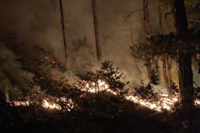 Bolu’daki orman yangını 8 saatte kontrol altına alındı
