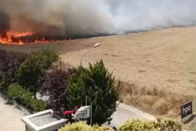 Otluk alanda çıkan yangın korkuttu