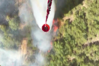 Sakarya'daki yangın Bilecik'e sıçradı: Yüzlerce personel müdahale ediyor