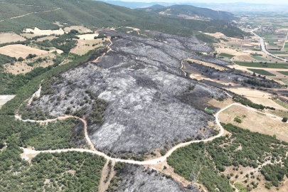 Yangınlar Bursa’da 65 hektarlık alanı kül etti