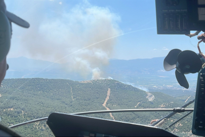 Manisa'da bir orman yangını daha başladı