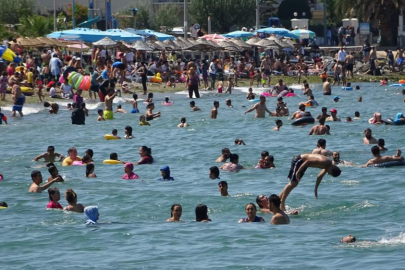 Bursa sahillerinden sevindirici haber