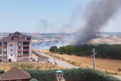 Bursa’da korkutan anız yangını