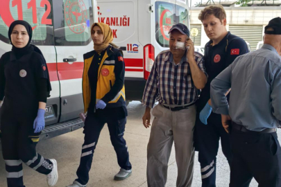 Kendini serinletmeyen bahçıvanı darp etti