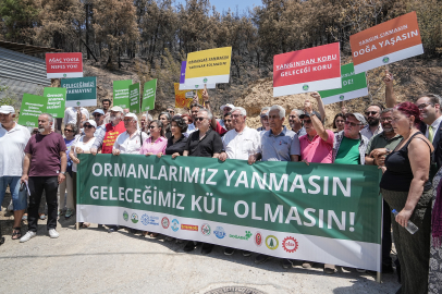 "Yunuseli Havaalanı yangın söndürme üssü olsun"