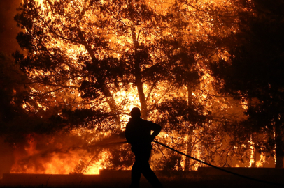 Yunanistan'daki orman yangınına müdahale sürüyor