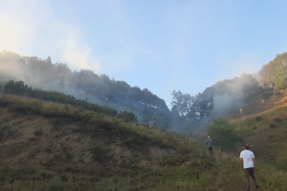 Bursa'da orman yangını: Rüzgarın etkisi ile büyüdü