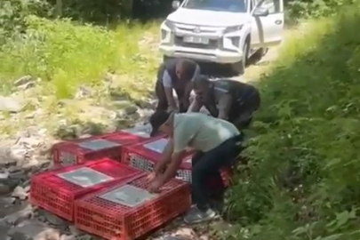 Kene ile mücadele timleri doğaya salındı