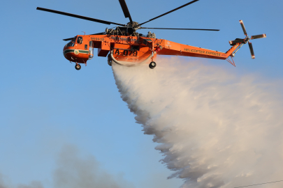 Tekirdağ'daki orman yangını kontrol altına alındı