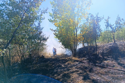 Bursa'da orman yangını korkuttu!