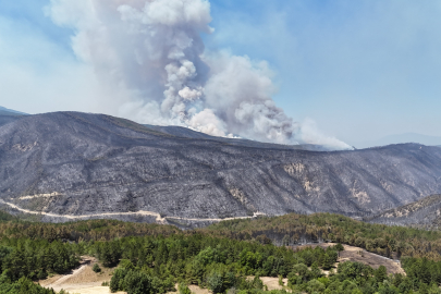 Rüzgar, Karabük'teki orman yangınlarını yeniden alevlendirdi