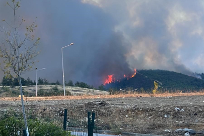 Bursa Büyükşehir'den yangınla ilgili açıklama!