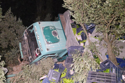 Biber yüklü tır zeytinliğe uçtu