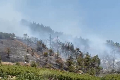 İznik’te orman yangını kontrol altına alındı