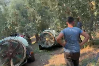 İznik’te çıkan yangın kontrol altına alındı