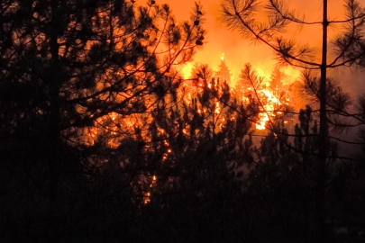 Başkan Bozbey: "Yangının yönü belli değil, daha fazla hava desteği gerekli"