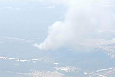 Bornova’da orman yangını