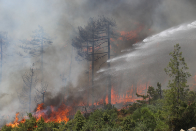 Bursa Valiliği: "712 araç ve bin 496 personelle yangına müdahale ediliyor"