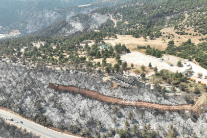 Ciğerlerimiz yandı