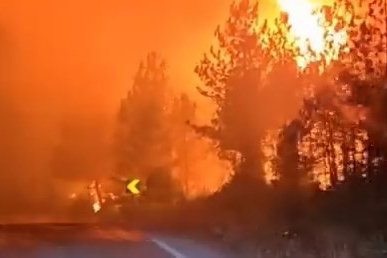 Orman yangınını söndürürken alev kapanında kaldılar