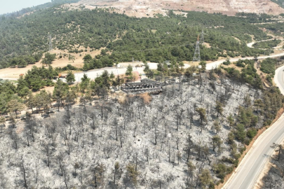 Tarihinin en büyük Gürsu yangınında acı görüntü yürek burktu